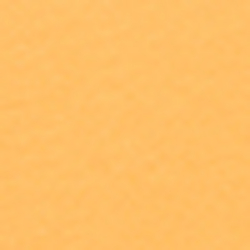 Bright Signal Orange