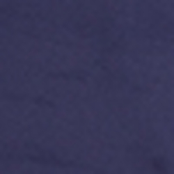 French Navy