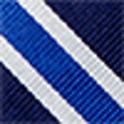 Navy/Blue