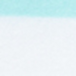 Aqua Verde/White