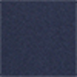 French Navy