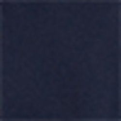 French Navy