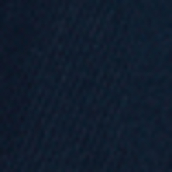 Cruise Navy