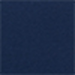 Spring Navy