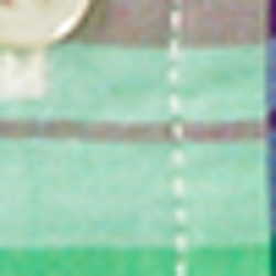 Green/Pink Multi