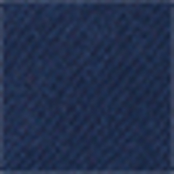 Spring Navy