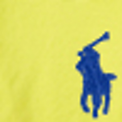 Shocking Yellow