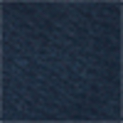 Cruise Navy