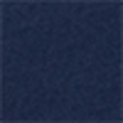 Spring Navy