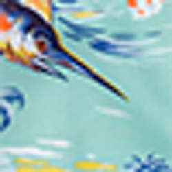 Green Swordfish