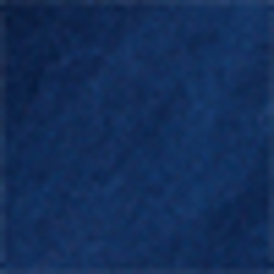 Spring Navy