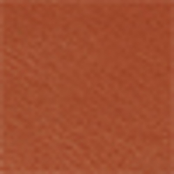 Polo Tan