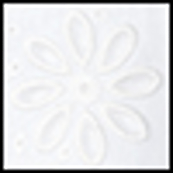 Deckwash White