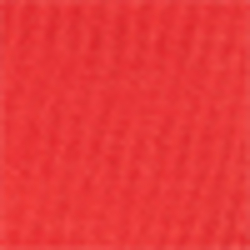 Neon Coral