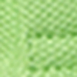 Florida Green