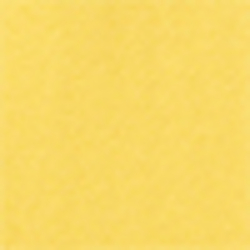 Sunfish Yellow