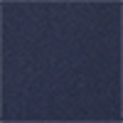 French Navy