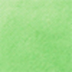 Nantucket Lime