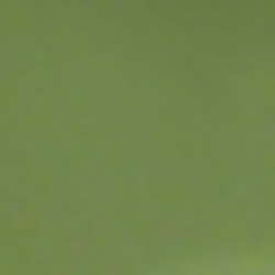 Shiny Semi Trasp Green