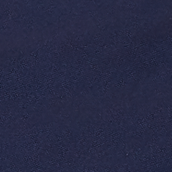 French Navy