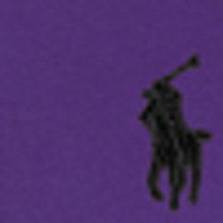 Vista Purple