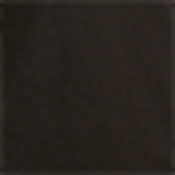Polo Black