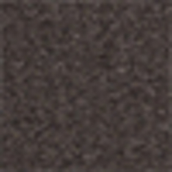Charcoal Tick