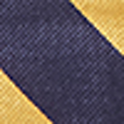 Navy/Gold