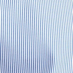 Blue/White
