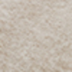 Cream / Taupe
