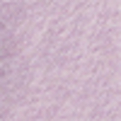Garden Purple Heather
