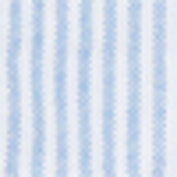 Bsr Blue/White