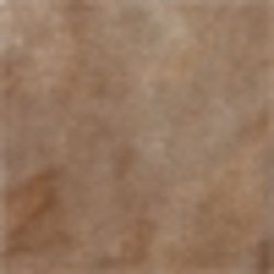 Litchfield Honey