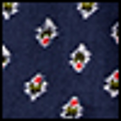 Navy/White Multi