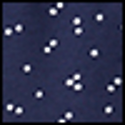 Navy Cream