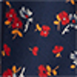Navy/Red Multi