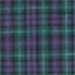 Purple/Green Multi