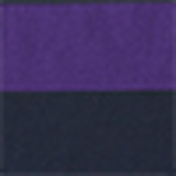 College Purple/ Navy