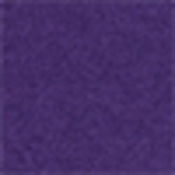 College Purple/Sun Belt