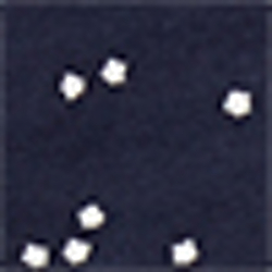 Navy Cream