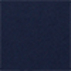 French Navy