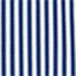 Blue/White