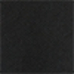 Polo Black