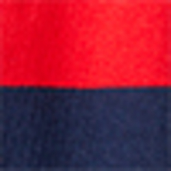 Rl2000 Red Multi