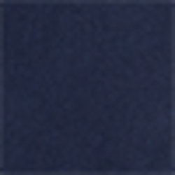 French Navy