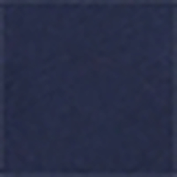French Navy
