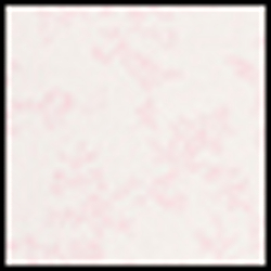 Delicate Pink Multi