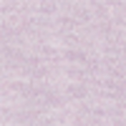 Garden Purple Heather