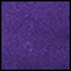 College Purple