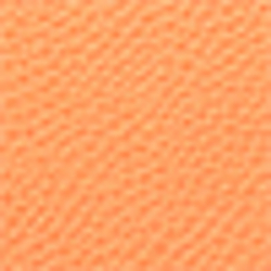 Monarch Orange